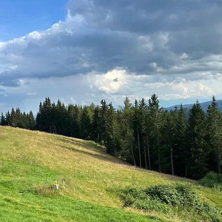Daire Supreme Wolfsberg